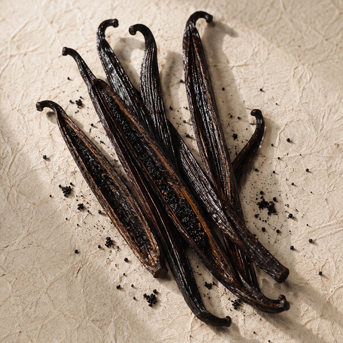Vanilla | Reed Diffuser | 100 ml