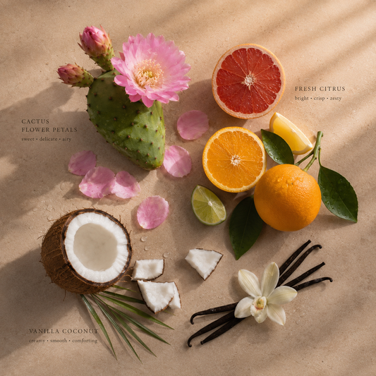 Tropical Veil | Reed Diffuser | 100 ml