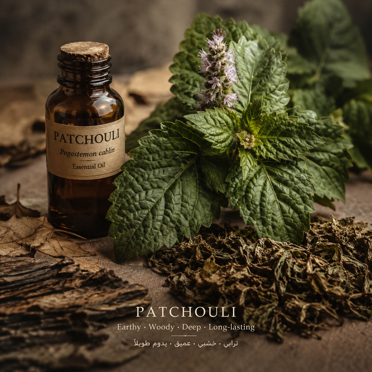 Patchouli Essential Oil | Aroma Chemical