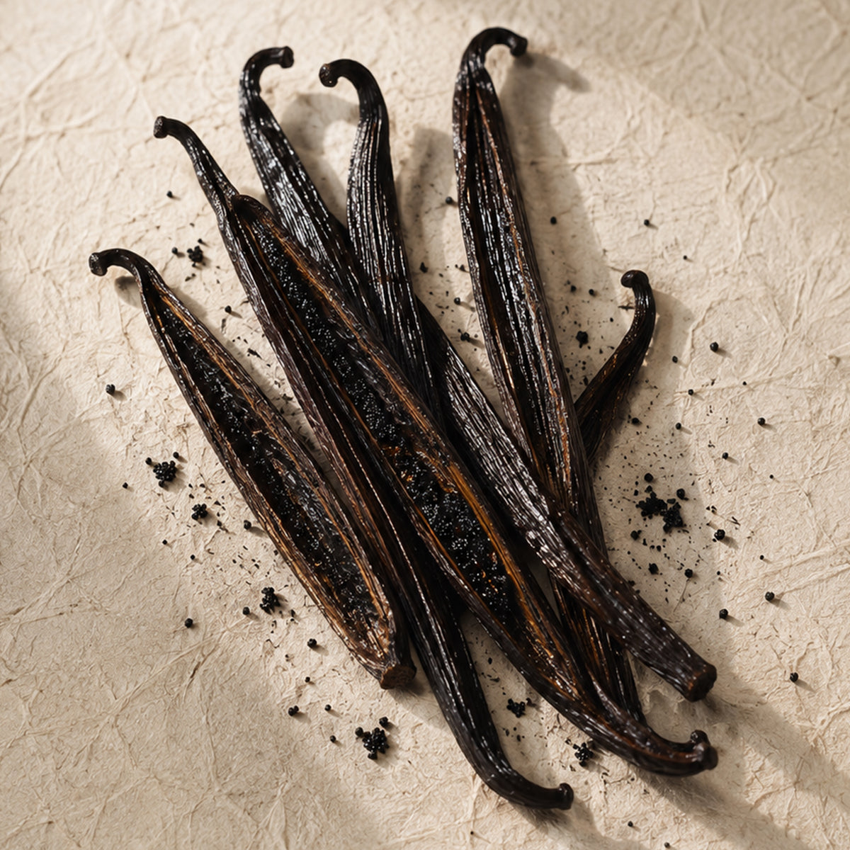 Vanilla | Reed Diffuser | 100 ml