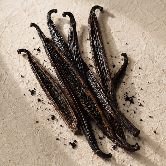 Vanilla | Reed Diffuser | 100 ml