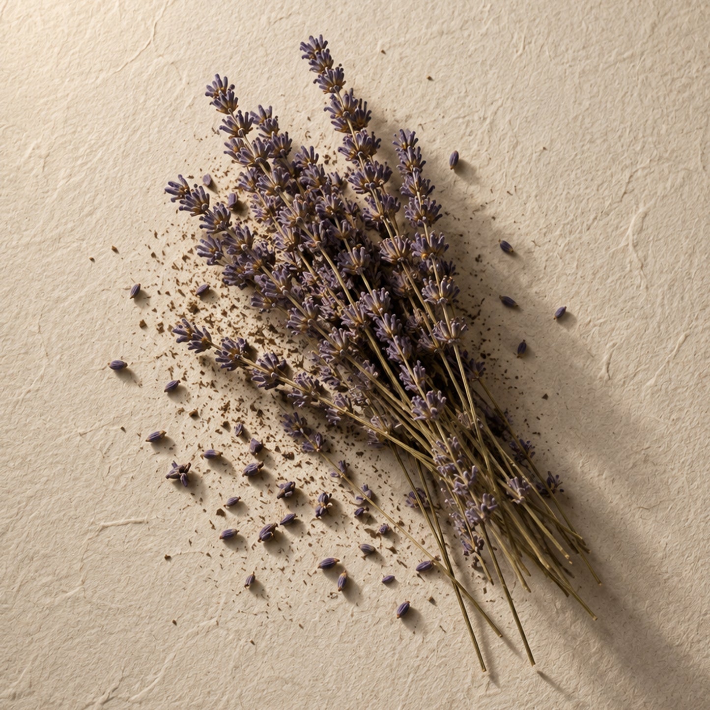 Lavender | Reed Diffuser | 100 ml